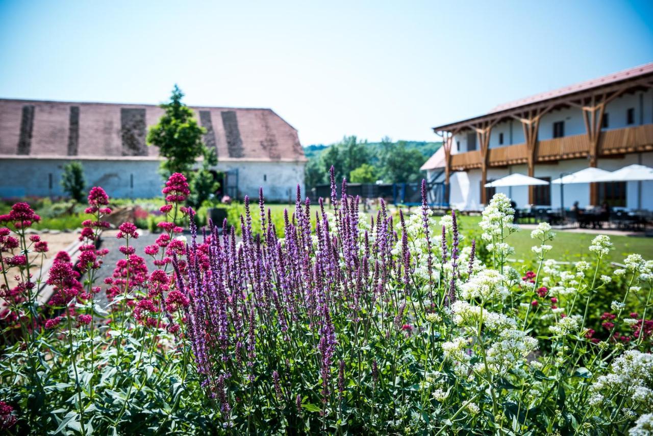 Dvur Perlova Voda Budyne nad Ohri Exterior foto