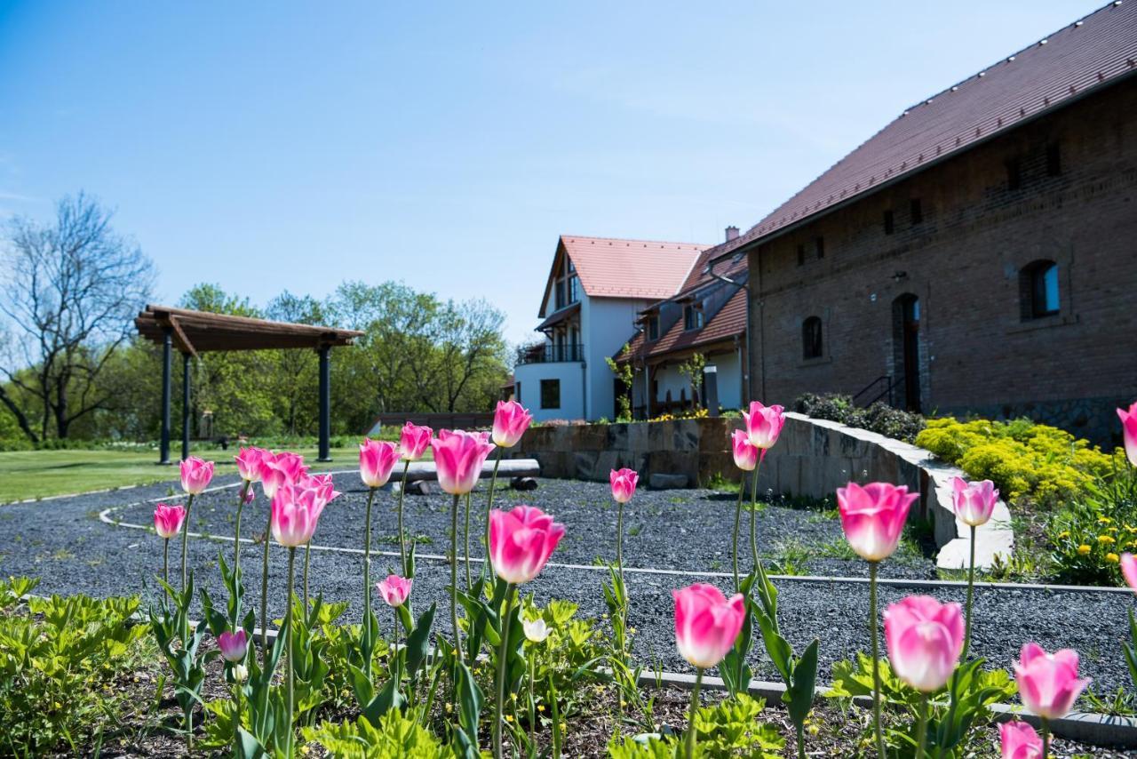 Dvur Perlova Voda Budyne nad Ohri Exterior foto